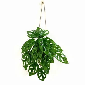 Artificial Sansevieria Plant – 21-68cm Long Tropical Piran Leaves for Hotel, Office, and Home Décor