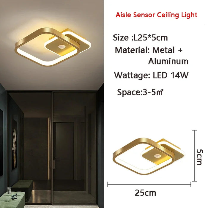 Nordic PIR Motion Sensor LED Ceiling Light – Modern Induction Ceiling Lamp for Bedroom, Living Room, and Indoor Spaces