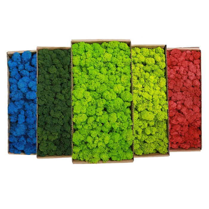 200g Artificial Green Moss Grass – Mini Eternal Life Fake Grass for DIY Crafts, Home & Garden Decoration
