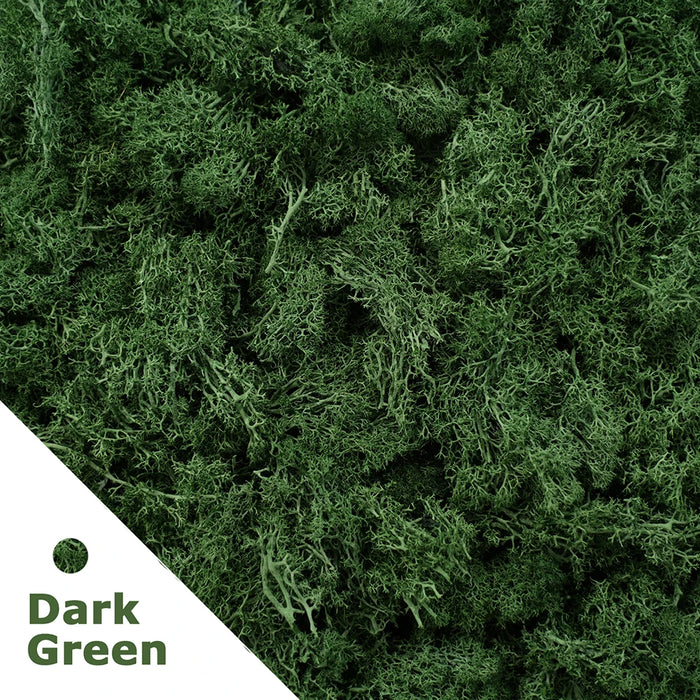 200g Artificial Green Moss Grass – Mini Eternal Life Fake Grass for DIY Crafts, Home & Garden Decoration