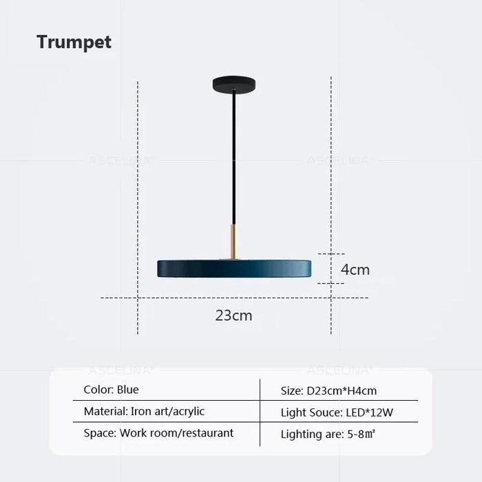 Modern LED Pendant Light – 23/30cm Disc Hanging Lamp for Bedroom, Living Room, Office, and Aisle – Dimmable LED Ceiling Light