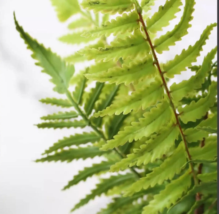 Artificial Fern Leaf Persian Grass Plant – Hanging Decorative Greenery for Home, Office, and Hotel Decoration, DIY Landscaping Greening Material