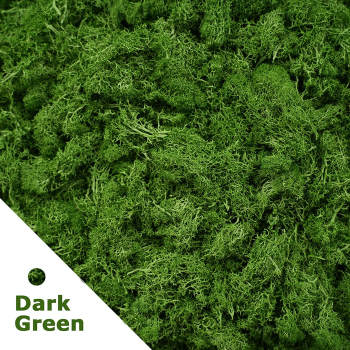 200g Artificial Green Moss Grass – Mini Eternal Life Fake Grass for DIY Crafts, Home & Garden Decoration