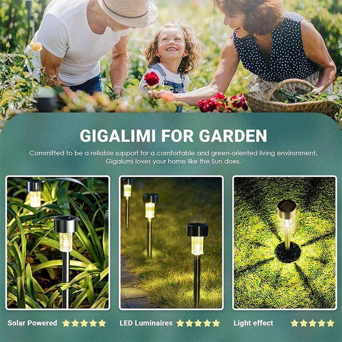 Solar-Powered Outdoor Garden Lights – Waterproof LED Pathway Lanterns for Yard, Lawn, and Landscape Decoration | IP44 Waterproof