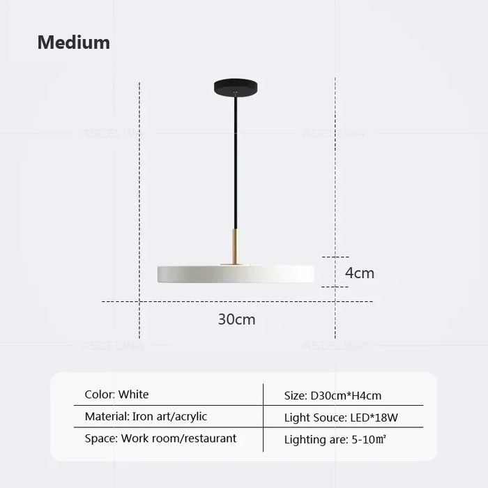 Modern LED Pendant Light – 23/30cm Disc Hanging Lamp for Bedroom, Living Room, Office, and Aisle – Dimmable LED Ceiling Light