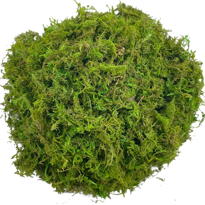 Artificial Moss Green Orchid Potting Mix – Peat Moss Pole for Indoor and Outdoor Plant Decoration