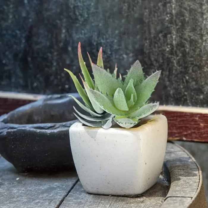 16 Pcs Realistic Textured Artificial Succulents Set – Mini Faux Succulent Plants for Home, Office, Garden & DIY Decor