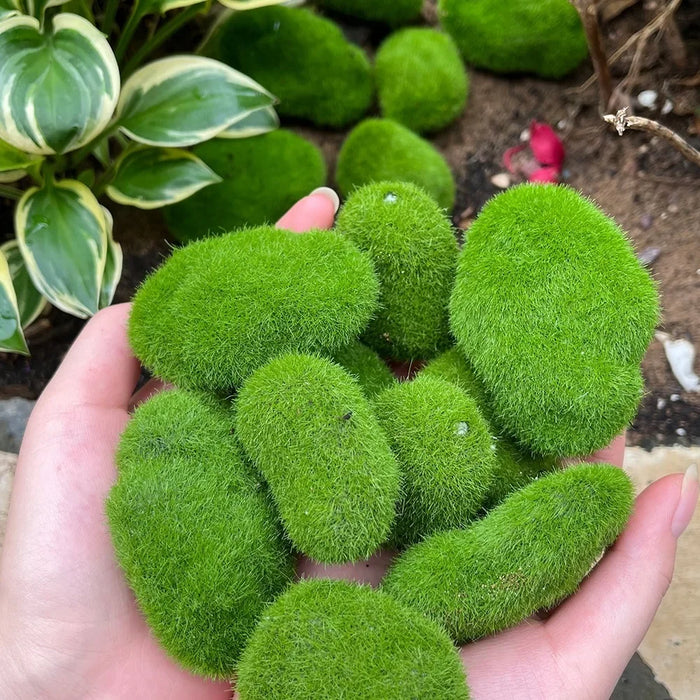 50/5PCS Artificial Foam Moss Rocks – Fake Green Moss Stones for Micro Landscape, DIY Crafts, and Home Garden Flower Pot Decoration