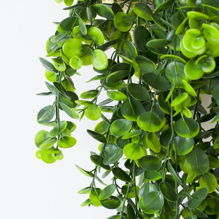 80cm Artificial Eucalyptus Vine – Silk Green Hanging Plant for Indoor and Outdoor Home Decoration, Wedding, and Party