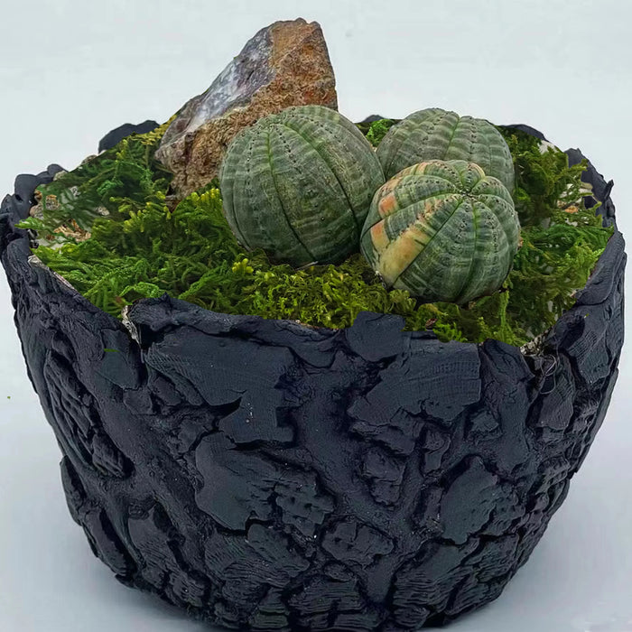 Artificial Moss Green Orchid Potting Mix – Peat Moss Pole for Indoor and Outdoor Plant Decoration