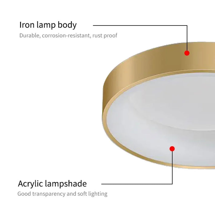 Modern LED Ceiling Light – Dimmable Gold Surface-Mounted Lamp for Master Bedroom, Study, Balcony, and Corridor