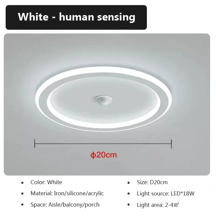 Modern LED Ceiling Lamp with Motion Sensor – Energy-Efficient Lighting for Living Room, Bedroom, Corridor, and Stairs (90-260V)