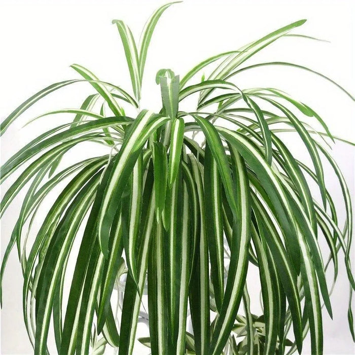 Artificial Chlorophytum Hanging Wall Plant – PVC Fake Greenery for Living Room, Home, and Office Decor – 65cm