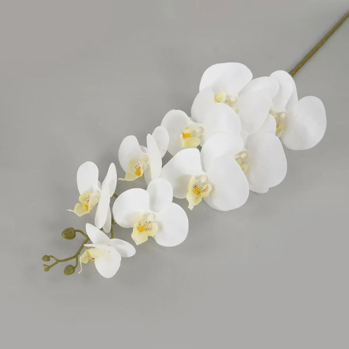 Artificial Butterfly Orchid Flowers – 100cm Real Touch Moth Orchids for Wedding, Party, and Home Decoration