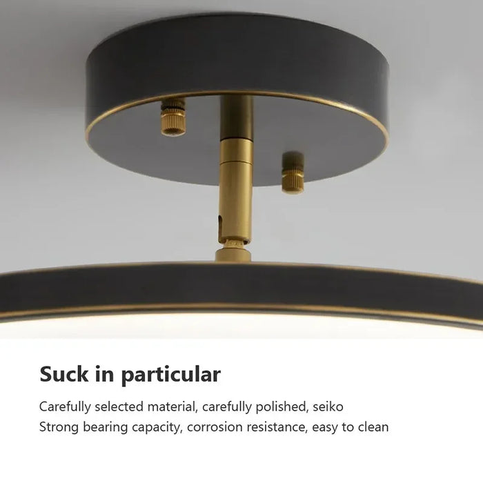 Modern Rotatable LED Ceiling Light – Black and Gold Minimalist Design for Multi-Room Illumination (1-Way, 10-15 sq m Coverage)