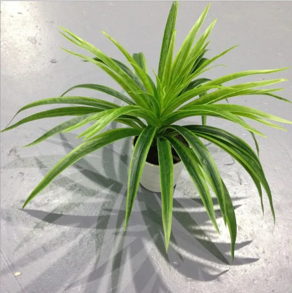 Artificial Chlorophytum Plastic Plant – 25cm Decorative Silk Fake Tree for Home, Office, and Tabletop Decoration (No Pot)