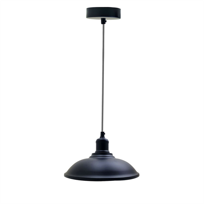 Industriële hanglamp | Rico | Metalen kap | 1-weg | Verschillende kleuren